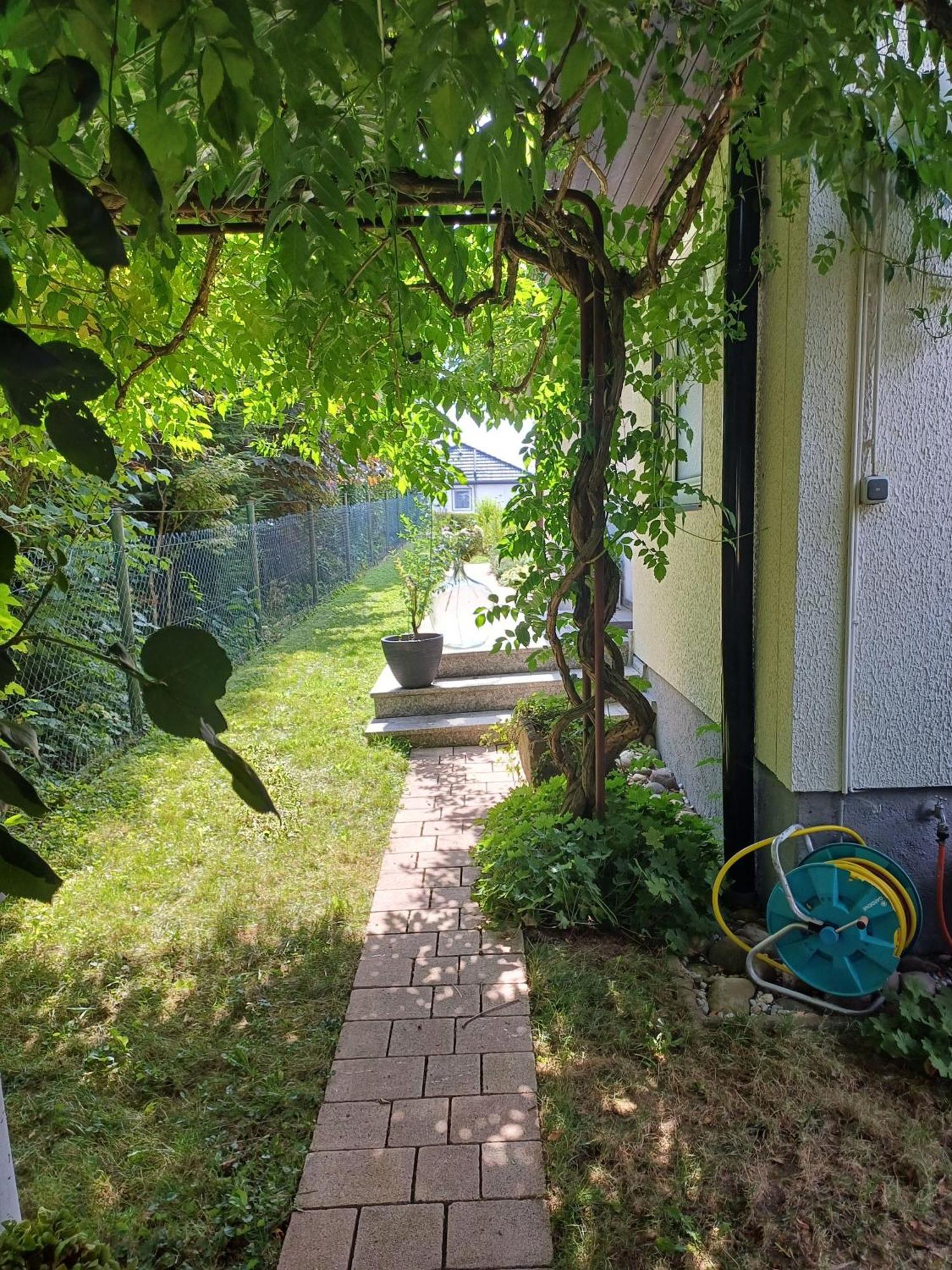 Ferienwohnung Sylvia Michelstadt Eksteriør billede